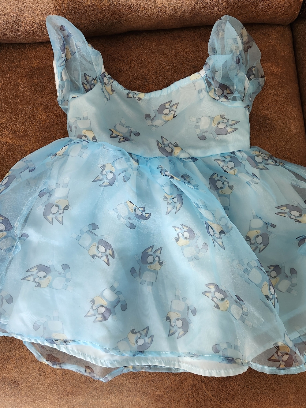 18 Month BLUEY dress